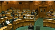 This frame grab taken from a New Zealand Parliament TV feed dated November 14, 2024 shows Maori lawmaker Hana-Rawhiti Maipi-Clarke (C) standing up during a first reading of the Principles of the Treaty of Waitangi Bill and performing a Haka dance. (Photo by New Zealand Parliament / AFPTV / AFP)