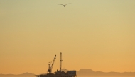 A gull flies with offshore oil and gas platform Esther in the distance on January 5, 2025 in Seal Beach, California. (Photo by Mario Tama/Getty Images/AFP)