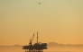 A gull flies with offshore oil and gas platform Esther in the distance on January 5, 2025 in Seal Beach, California. (Photo by Mario Tama/Getty Images/AFP)