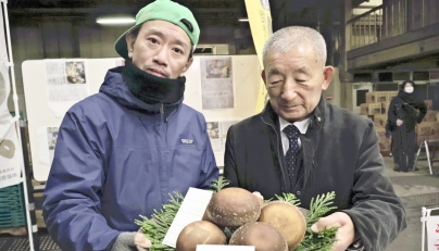 The Noto Temari-brand shiitake mushrooms sold for 350,000 yen. Photo credit: The Japan News