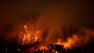 The Auto Fire spreads following the riverbed of the Santa Clara River in Oxnard, North West of Los Angeles, California, on January 13, 2025. (Photo by ETIENNE LAURENT / AFP)
