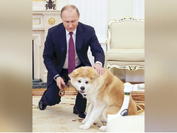 Russian President Vladimir Putin pets his Akita dog Yume at the Russian presidential office in Moscow in December 2016 / The Japan News