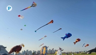 Colourful kites fly at Old Doha Port. Pic: Victor Bolorunduro /The Peninsula 