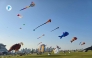 Colourful kites fly at Old Doha Port. Pic: Victor Bolorunduro /The Peninsula 