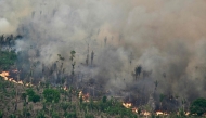 File: Aerial view of an area of Amazon rainforest deforested by illegal fire in the municipality of Labrea, Amazonas State, Brazil, taken on August 20, 2024. (Photo by Evaristo Sa / AFP)