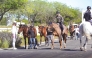 The vet check ahead of the third and final round took place yesterday. 