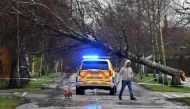 A photograph taken on January 24, 2025 shows a personm walking their dog backdropped by a police car and fallen tree obstructing the road in Helensburgh Scotland, as storm Eowyn brings winds of 100 mph to the UK and Ireland. (Photo by ANDY BUCHANAN / AFP)
