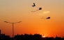 Kites are silhouetted against the setting sun during the 'Qatar Kite Festival 2025' at Old Doha Port in Doha on January 21, 2025. (Photo by Karim JAAFAR / AFP)