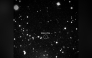 This handout picture provided by NASA on January 31, 2025 shows asteroid 2024 YR4 as observed by the Magdalena Ridge 2.4m telescope at the New Mexico Institute of Technology on January 27, 2025. (Photo by Handout / NASA/Magdalena Ridge 2.4m telescope/New Mexico Institute of Technology/Ryan / AFP)