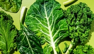 Winter greens from left: mustard, chard, collards and curly kale. Photo credit: Scott Suchman for The Washington Post