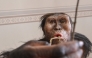 The hyperrealistic artistic reconstruction of the female Austrolopithecus afarensis (Lucy) in the National Museum of Prague on February 4, 2025. (Photo by Michal Cizek / AFP)
