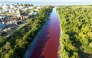 This aerial view shows an unusual reddish color of the Sarandi Canal seeping into the Rio de la Plata River in Sarandi, Avellaneda in the outskirts of Buenos Aires on February 6, 2025. (Photo by Juan MABROMATA / AFP)