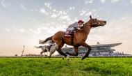 Jockey Christophe Soumillon guides Al Ghadeer to H H The Amir Sword 2024 victory in this file photo. 