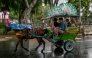 A horse-drawn carriage driver takes passengers for a ride around the National Monument (Monas) park in Jakarta on January 28, 2025. (Photo by Bay Ismoyo / AFP) 