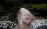 A picture taken on March 18, 2025 shows a swollen stream following storms near Constantina, north of Seville. Photo by CRISTINA QUICLER / AFP