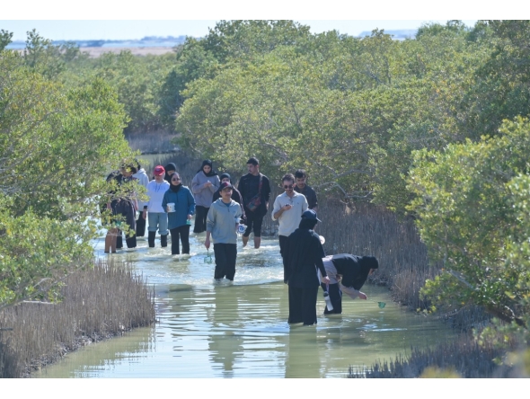 The Weill Cornell Medicine-Qatar students identified marine invertebrates and collected specimens on the Purple Island.