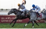 Luwsail, under jockey Pierre Charles Boudot, on his way to win the Qatar Gold Sword. Pictures: Juhaim / QREC