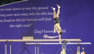 Gymnasts in action 