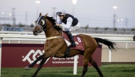Marco Casamento guides Safeer Al Shahania to Athbah Cup win. Pictures: Juhaim/QREC