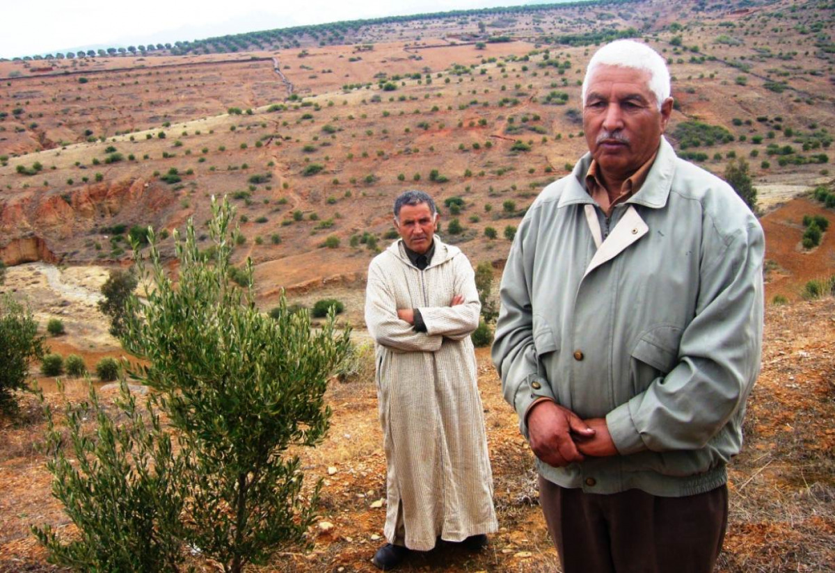 Ait Bella Omar (right), president of the Amghras civic forum, shows off olive trees, planted to prevent erosion of steep mountain slopes in Amghras, Morocco, Nov. 13, 2016. TRF/Megan Rowling