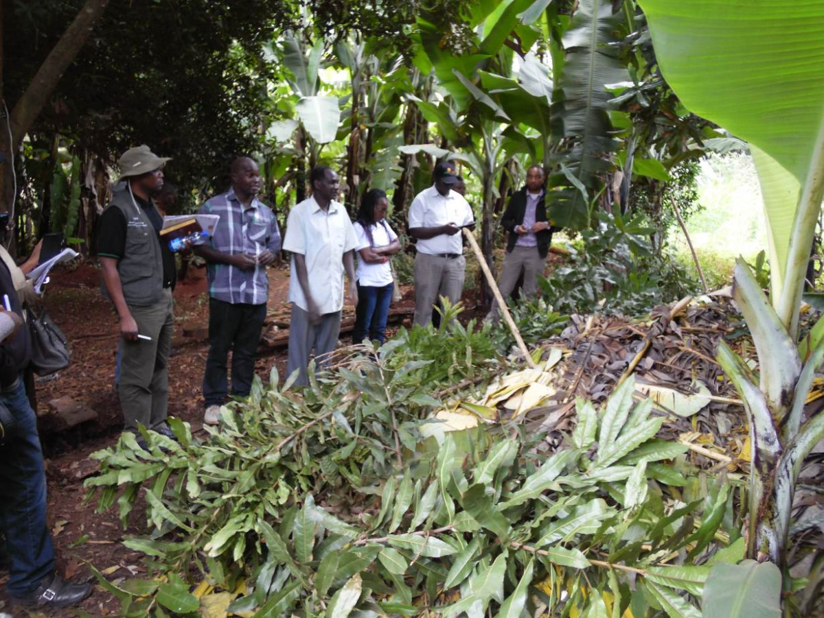 Farmers take part in a training on organic farming techniques in macadamia production in Githure, in central Kenya. TRF/Caroline Wambui