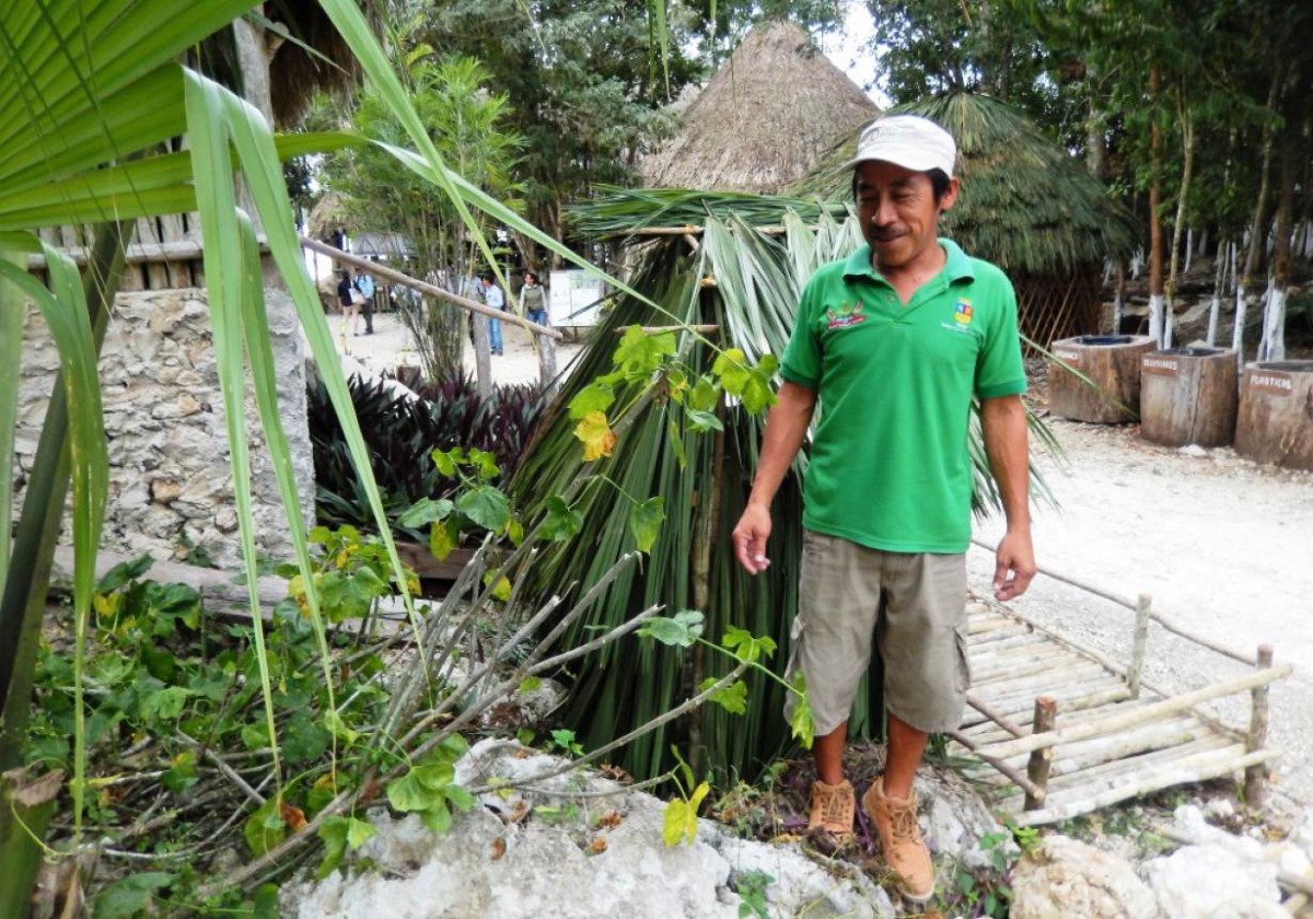 Taking a break from serving breakfast to visitors at the community lakeside eco-resort of Sijil Noh Ha, which means “Where the Lake is Born”, Samuel Montalvo looks at the leafy wild chaya plant (centre), which is used in egg dishes, soup, tea and baking f