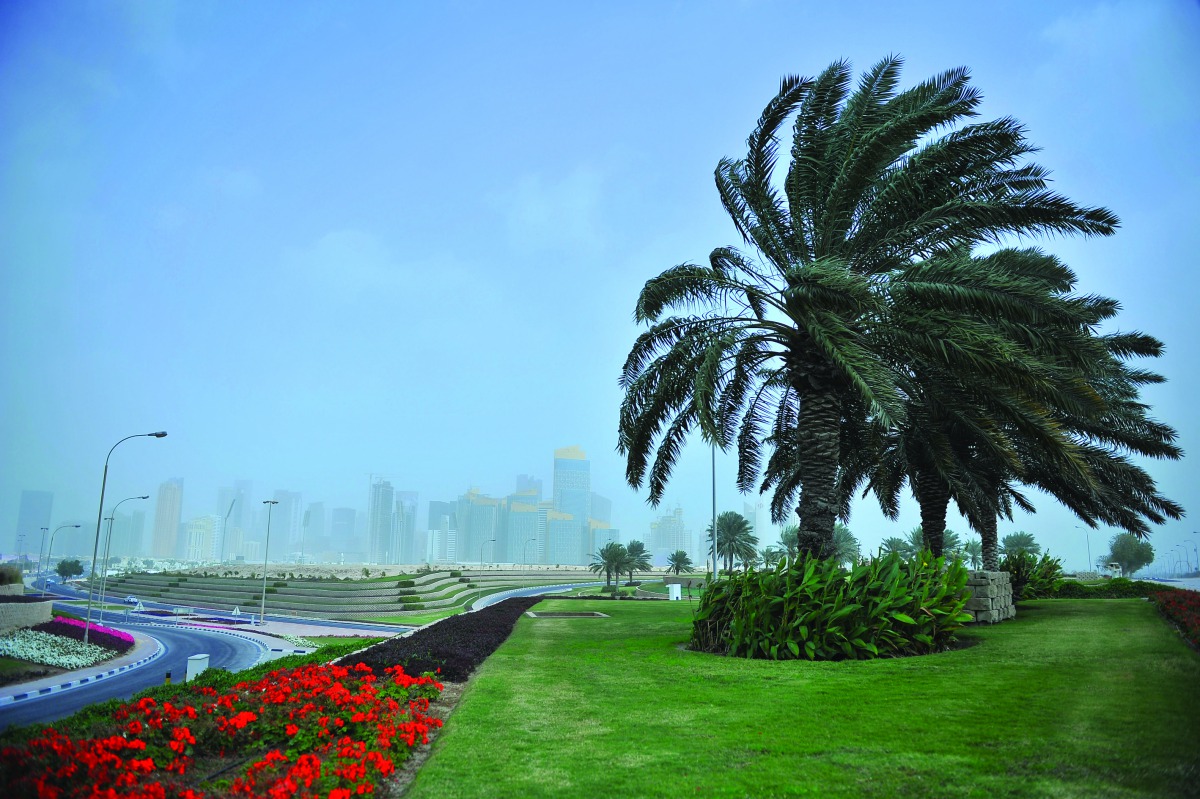 Date palms on the Corniche sway in the dusty breeze as the mercury dipped to nine degrees Celsius in parts of the country, yesterday. Pic: Baher Amin/The Peninsula