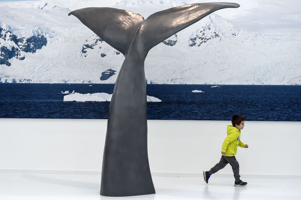 (FILES) This file photo taken on February 23, 2017 shows a child run past a mock whale tail during a visit at the Paul-Emile Victor museum on February 23, 2017 in the French eastern village of Premanon. AFP / SEBASTIEN BOZON