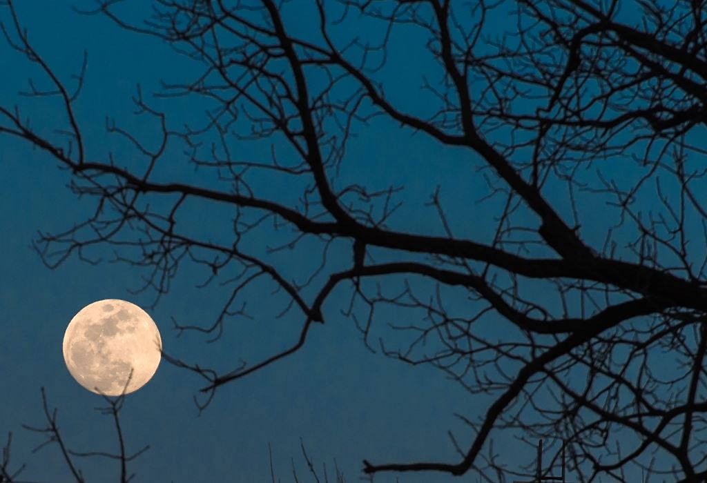 The full moon is seen over Washington, DC, on March 11, 2017. / AFP / NICHOLAS KAMM
