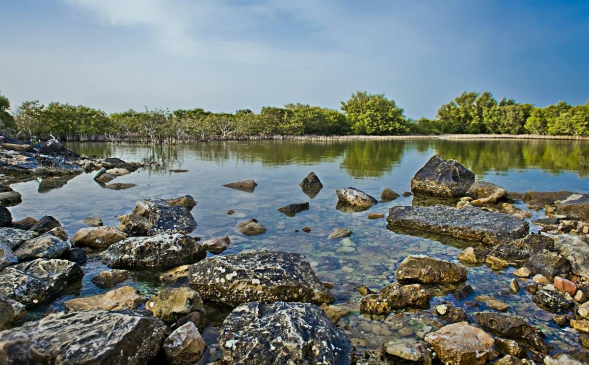 Al Dakhira. Credit: Visitqatar.qa