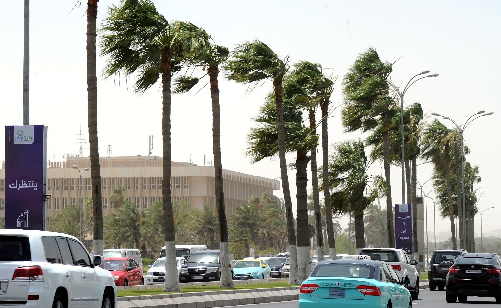 Palm trees swayed by dust winds lash along the Corniche yesterday. Pic: Abdul Basit / The Peninsula. 