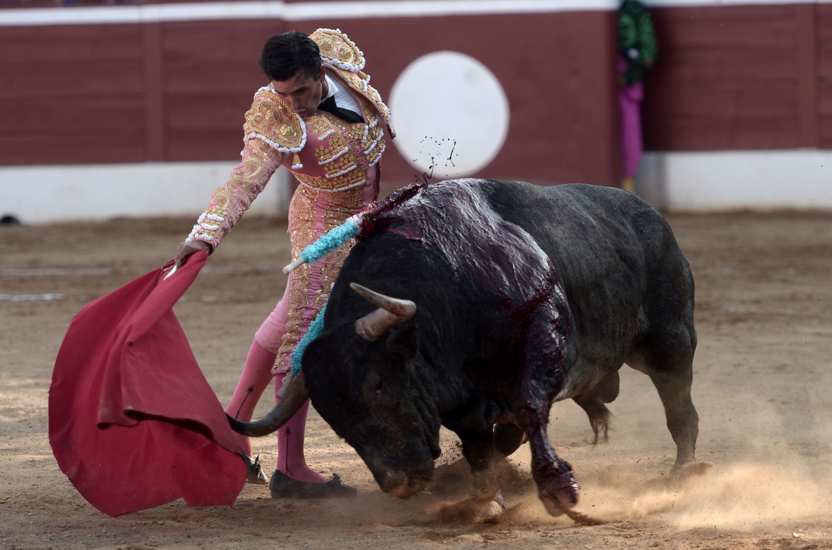 Spanish matador Alberto Aguilar performs a pass on an Adolfo Martin Andres bull at Plumacon arena in Mont de Marsan during the festival of La Madeleine, southwestern France, on July 23, 2017. AFP / Iroz Gaizka