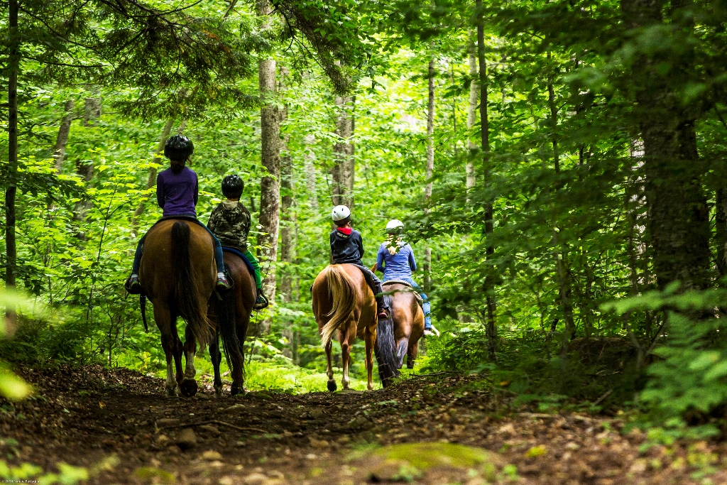 Horseback riders explore the woodland trails at Timberlock, which is in the southwestern corner of the 6-million-acre Adirondack State Park. Nancie Battaglia / The Washington Post 