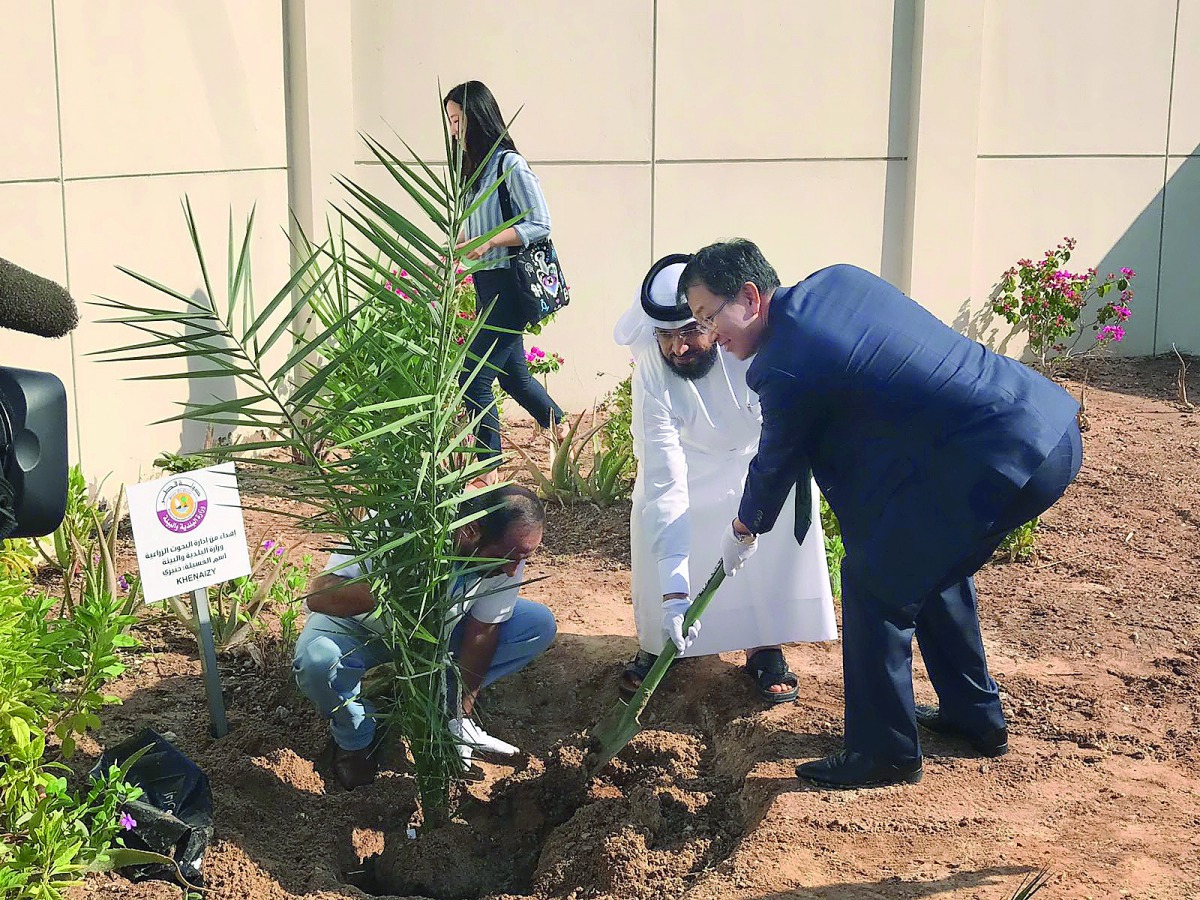 Park Heung Kyeong, South Korean Ambassador to Qatar, and Masud Jarullah Al Marri, Director of Agricultural Research Department, planting palm trees at the permises of the Korean embassy in Qatar.