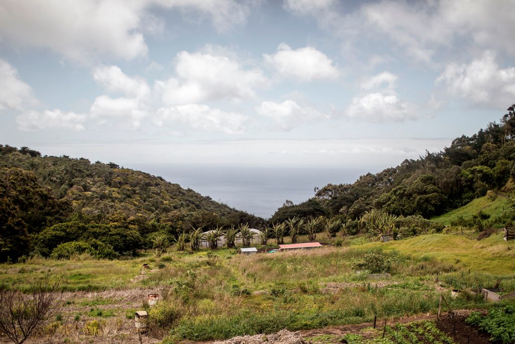 This picture shows the Atlantic Ocean and farms seen from the Plantation House, the United Kingdom Governor official residence on October 20, 2017 in Saint Helena, a British Overseas Territory in the South Atlantic Ocean. / AFP / GIANLUIGI GUERCIA