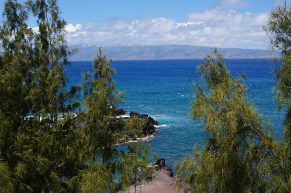 Just steps from a paved pullout on the Honoapiilani Highway, a shady spot offers a view of Molokai. All photos by John Briley for The Washington Post.
