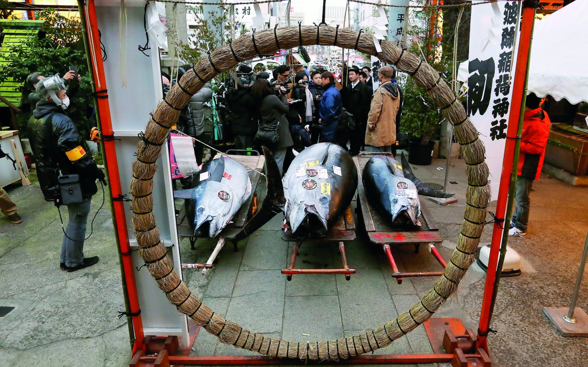 A 405 kg bluefin tuna (C) is seen at a shrine outside Tsukiji fish market in Tokyo, Japan, January 5, 2018. LEOC Co's Chairman, CEO and President Hiroshi Onodera, who runs a chain of sushi restaurants, won the bid for the tuna caught off Oma, Aomori prefe