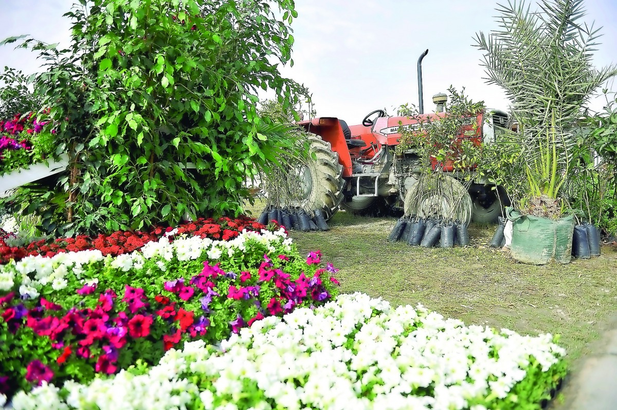 Locally produced flowers.