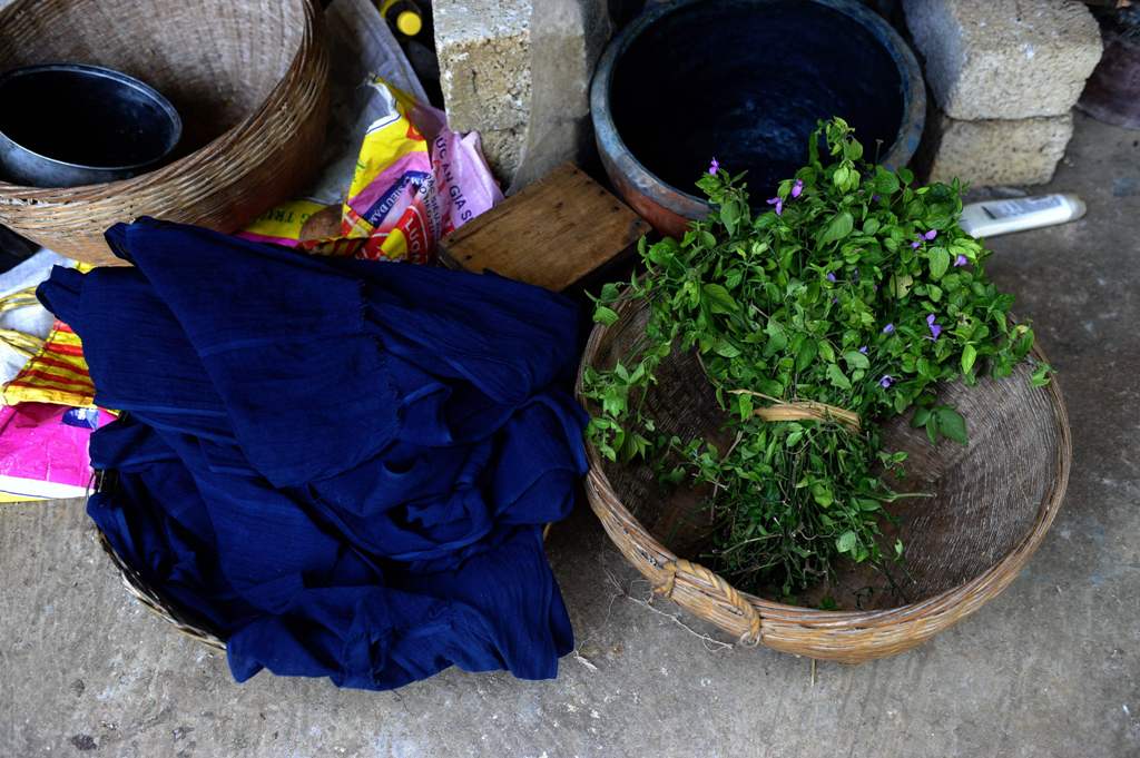 (FILES) This file photo taken on October 22, 2015 shows indigo leaves used to dye materials by Nung ethnic women at Phuc Sen village, in the northern province of Cao Bang.  AFP / HOANG DINH NAM
