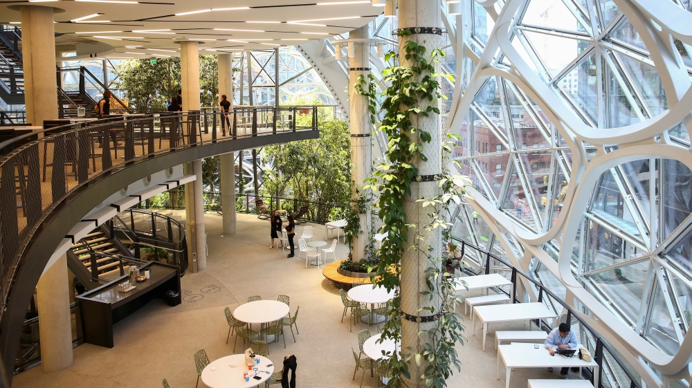 The second and third floors of the new Amazon Spheres are seen during a grand opening event at Amazon's Seattle headquarters (Lindsey Wasson/Reuters)