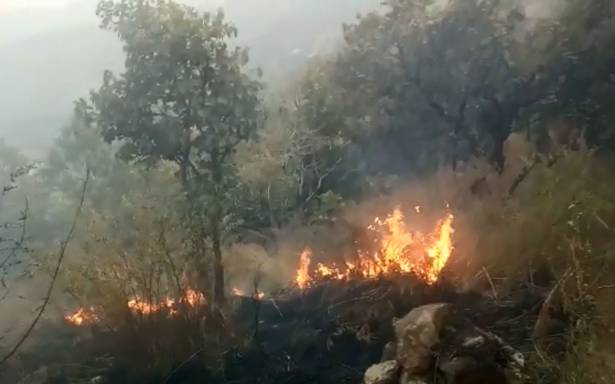 Several students are trapped in a major forest fire near the Kurangani hills in Theni district of Tamil Nadu on Sunday. (Photo Courtesy: The Hindu) 