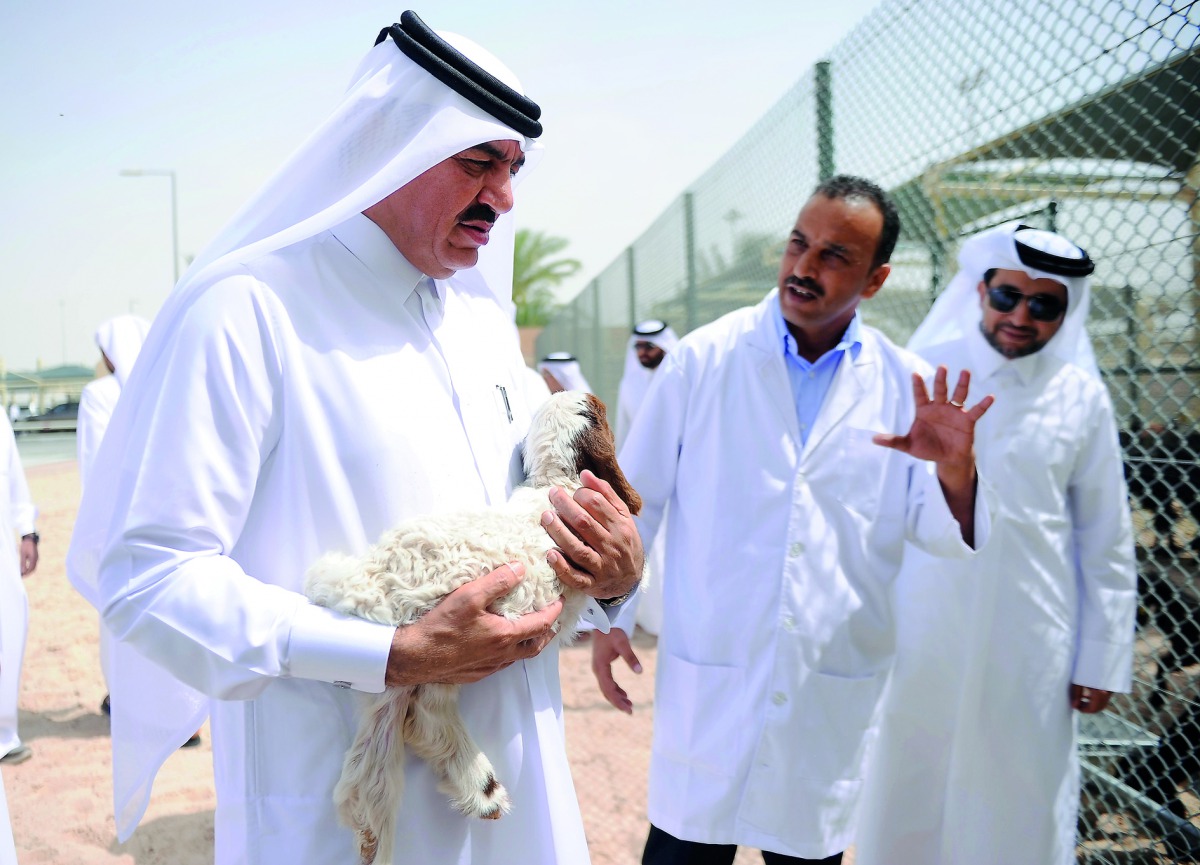 H E Mohamed bin Abdullah Al Rumaihi (left), Minister of Municipality and Environment touring the animal production research centre at Al Shehaniya yesterday. Pic: Abdul Basit / The Peninsula