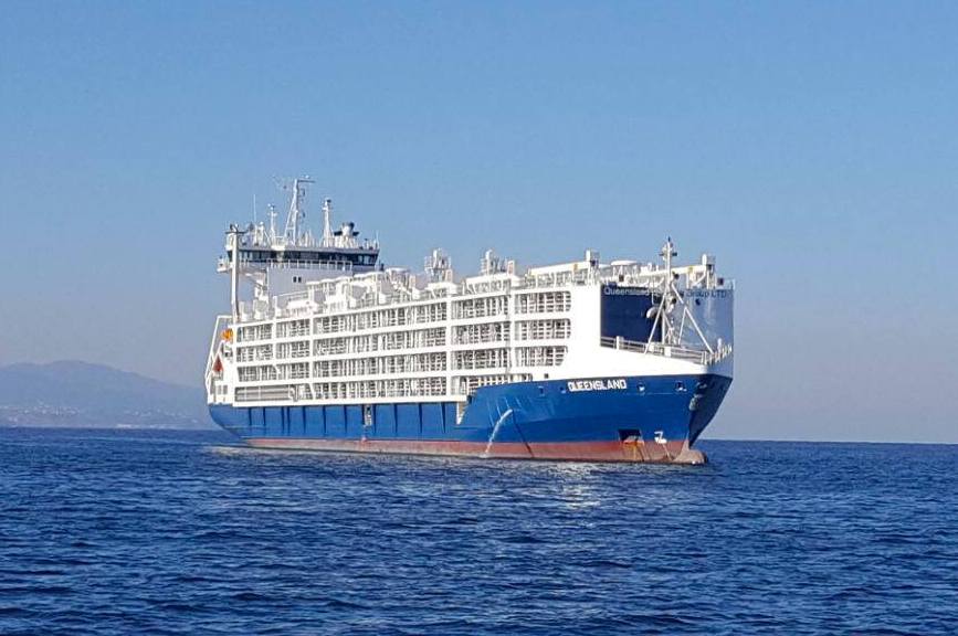  FILE PHOTO. Queensland livestock carrier arrived at Hamad Port with 3200 cows aboard. March 12, 2018. Photo Credit: Baladna