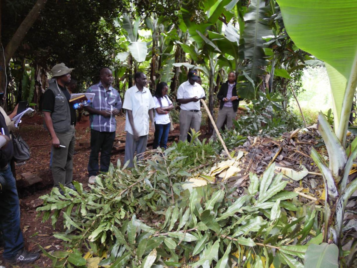 Millions of Kenyans are landless. Many were displaced during the colonial era. Others lost their land due to ethnic clashes, corruption or because their parents did not write a will. In this photograph, farmers take part in a training on organic farming t