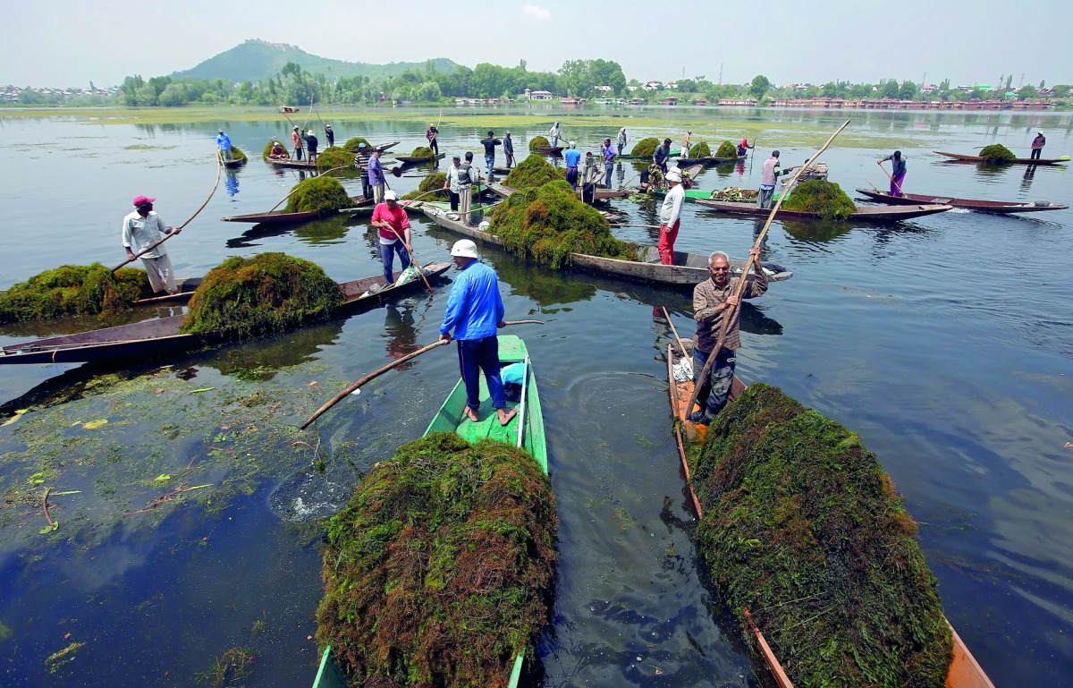 Boatmen manually remove weeds from Nageen Lake in Srinagar May 16, 2018. Reuters/Danish Ismail