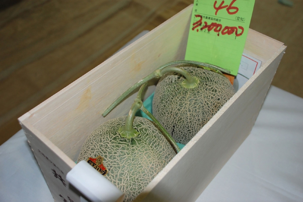 A pair of Yubari melons, that fetched a record 3.2 million yen ($29,300) at an auction, are seen in Sapporo on May 26, 2018. Japan OUT / AFP / JIJI PRESS / JIJI PRESS