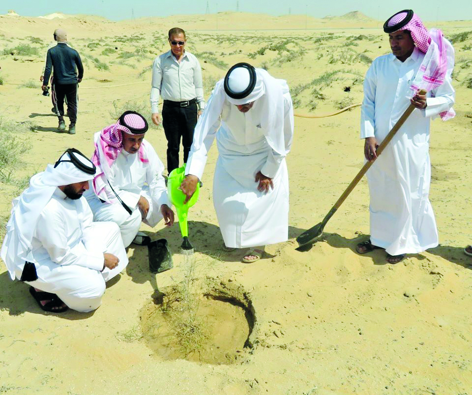 The officials from the Ministry of Municipality and Environment plant a tree at a desert to combat desertification. 