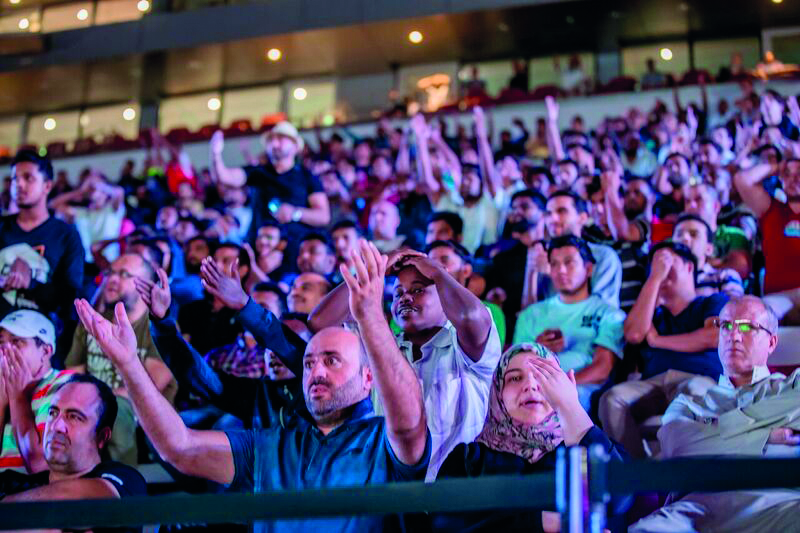 The fans watching Germany vs Sweden match.