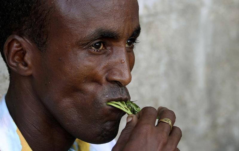 An unemployed Somali man chews narcotic leaves known as khat, which is used as a mild stimulant, in his neighbourhood in southern Mogadishu May 7, 2012. Reuters/Feisal Omar