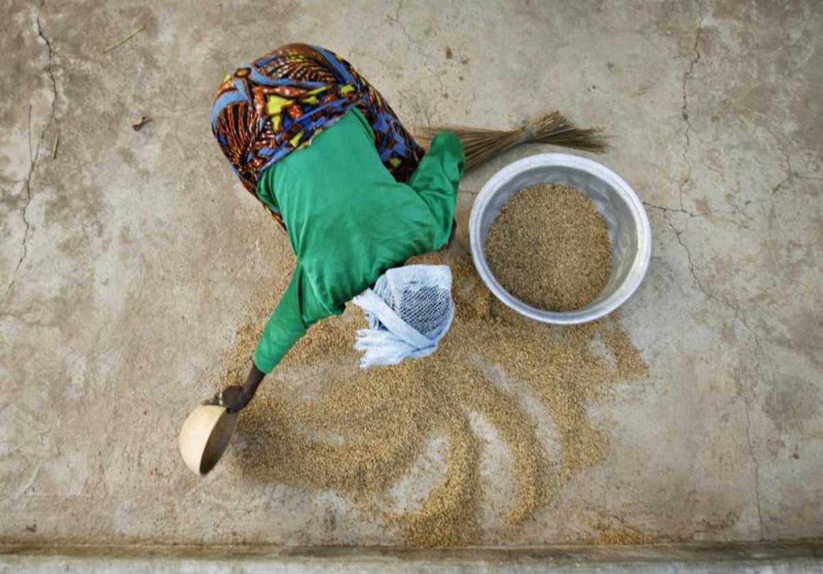 A woman from the Daborin Single Mothers Association gathers rice at a small processing plant in the northern Ghanaian town of Bolgatanga, February 1, 2008. Reuters/Finbarr O'Reilly